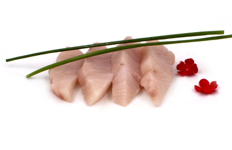Sashimi Amberjack
