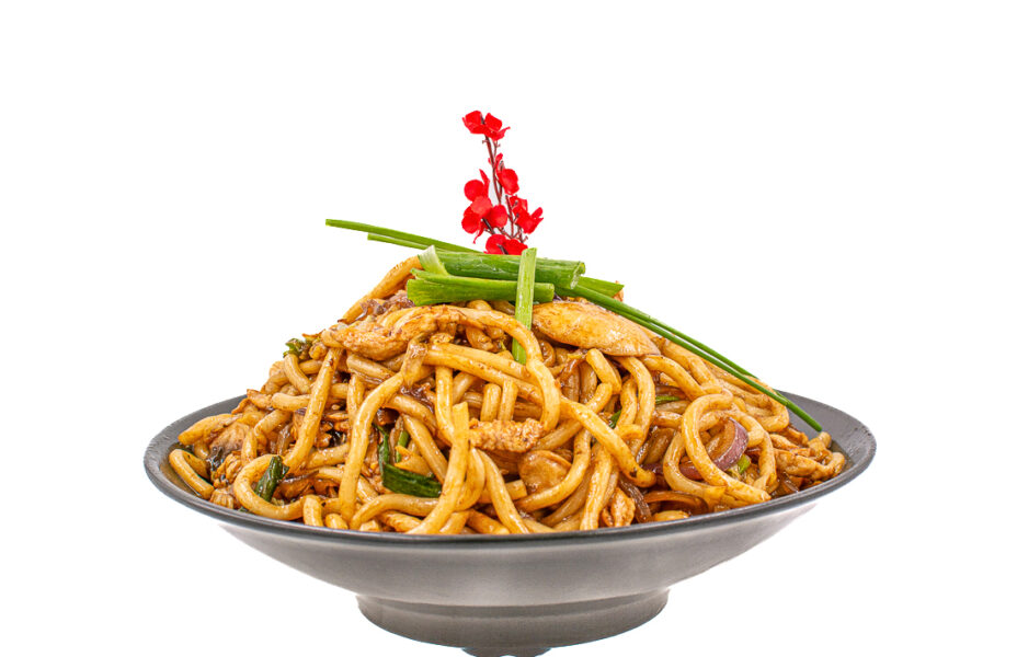 Udon noodles