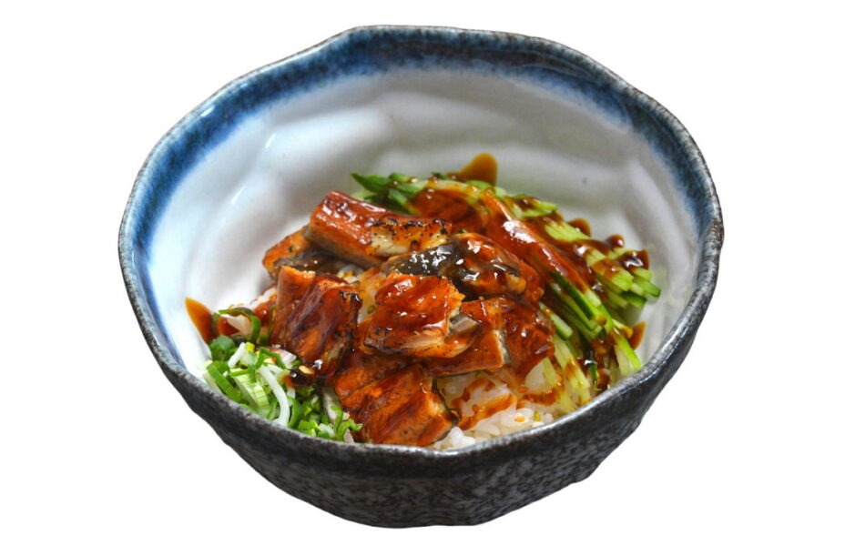 Unagi Don